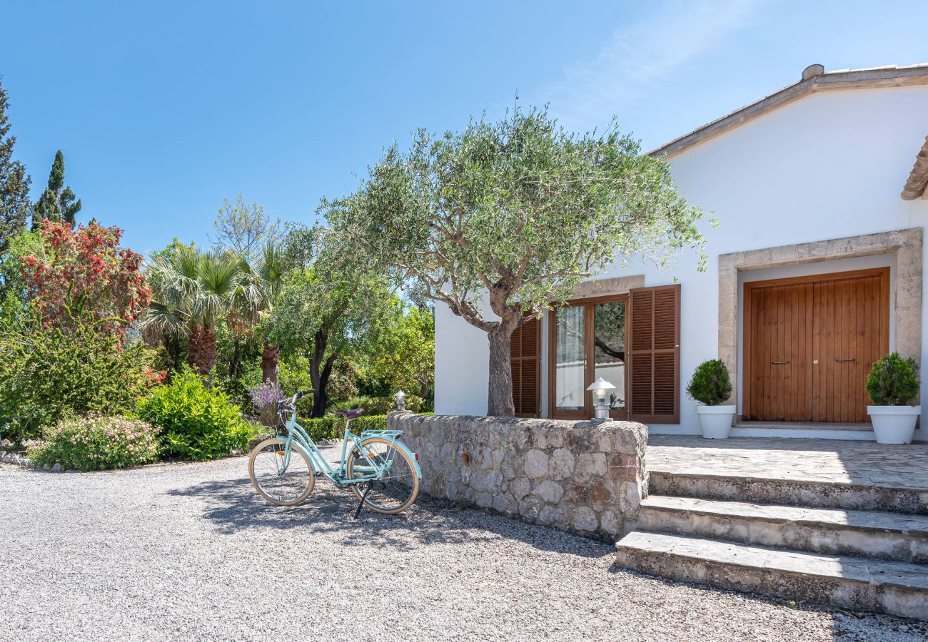 Villa in Pollensa - Cal Rei Gran