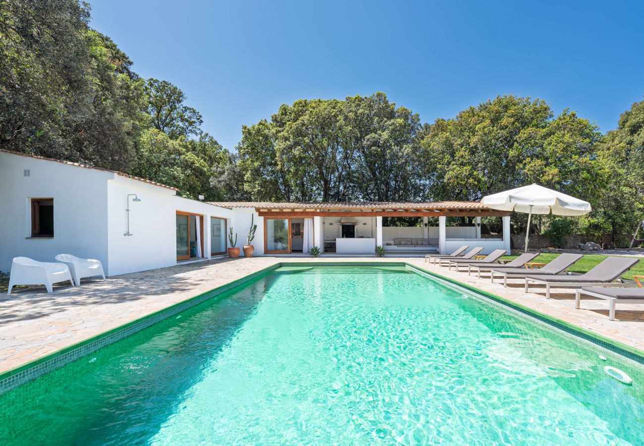 Villa in Pollensa - Cal Rei Gran