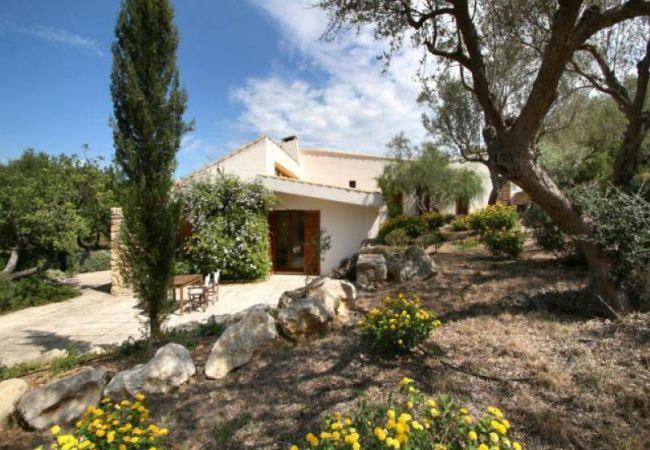 Villa in Campanet - La Serrania Villa in Campanet - La Serrania