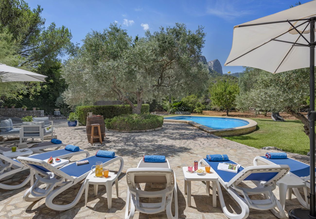 Villa in Pollensa - Cal Perdiu Vell