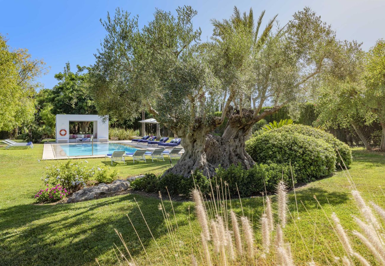 Villa in Puerto Pollensa - Finca Playa Llenaire