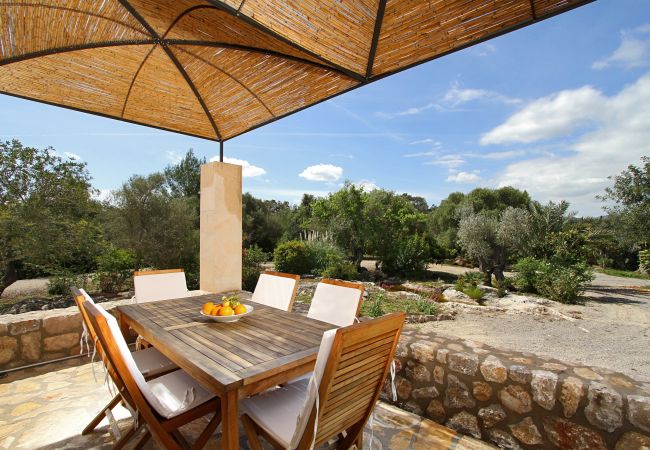 Villa in Pollensa - Olivo De La Roca Villa in Pollensa - Olivo De La Roca