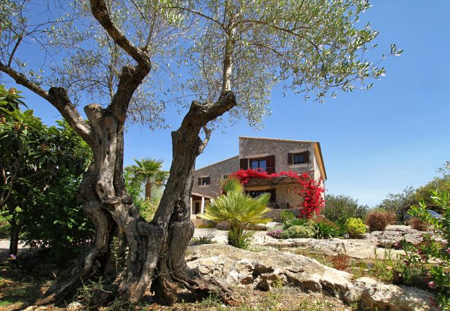 Villa in Pollensa - Olivo De La Roca Villa in Pollensa - Olivo De La Roca