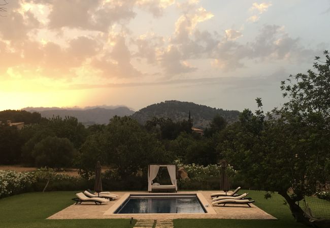 Villa in Pollensa - Olivo De La Roca Villa in Pollensa - Olivo De La Roca