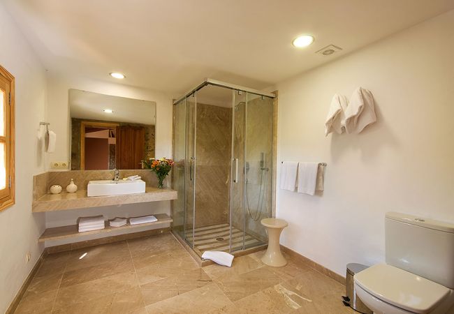Villa in Pollensa - Villa Flavio Villa in Pollensa - Villa Flavio