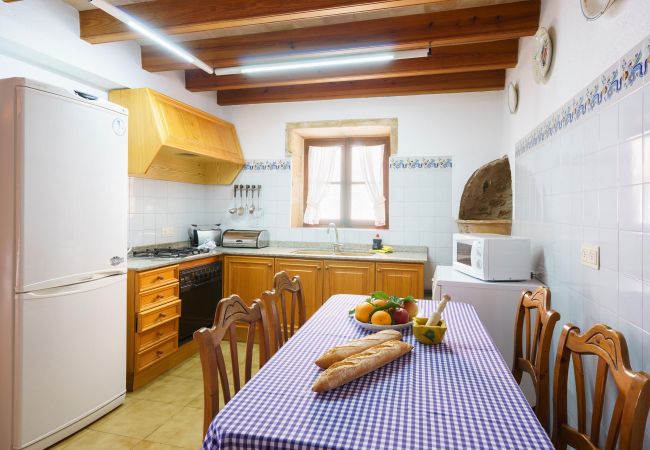 Villa in Pollensa - Villa Flavio Villa in Pollensa - Villa Flavio