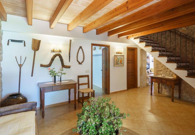 Villa in Pollensa - Villa Flavio Villa in Pollensa - Villa Flavio
