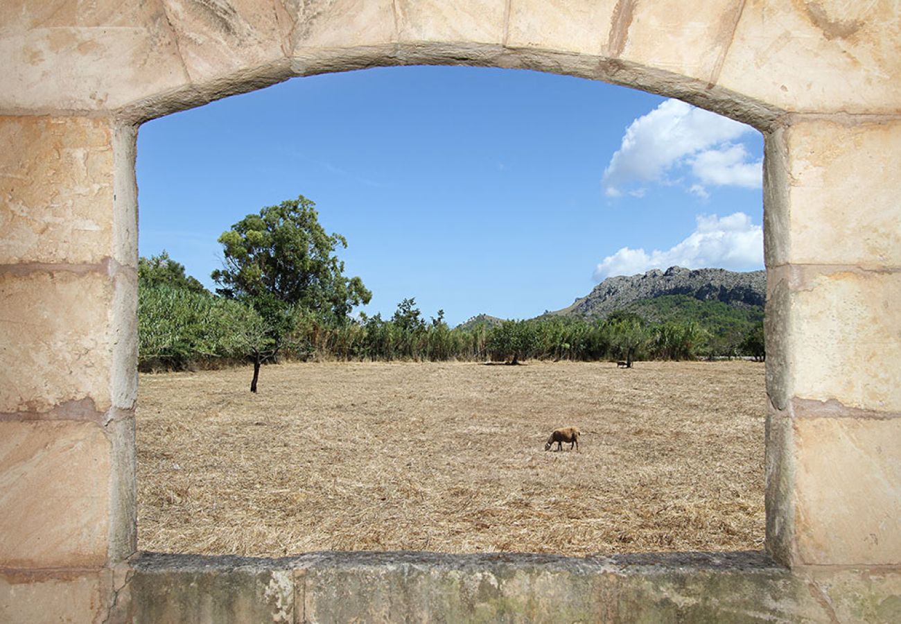 Villa in Pollensa - Can Eloi