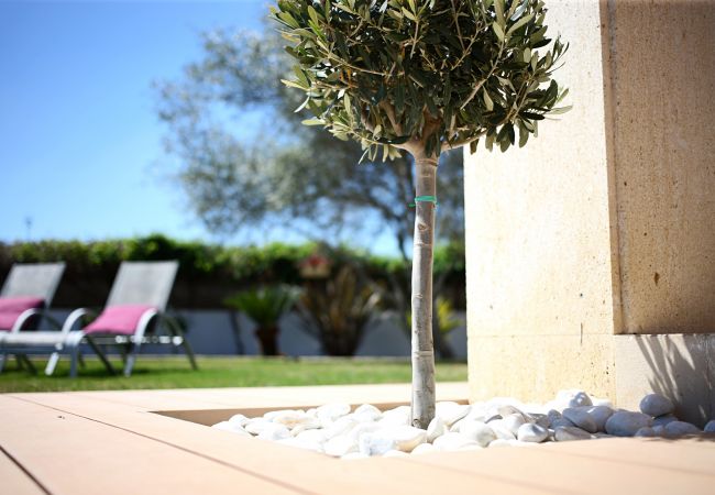 Villa in Pollensa - Villa Alba Villa in Pollensa - Villa Alba