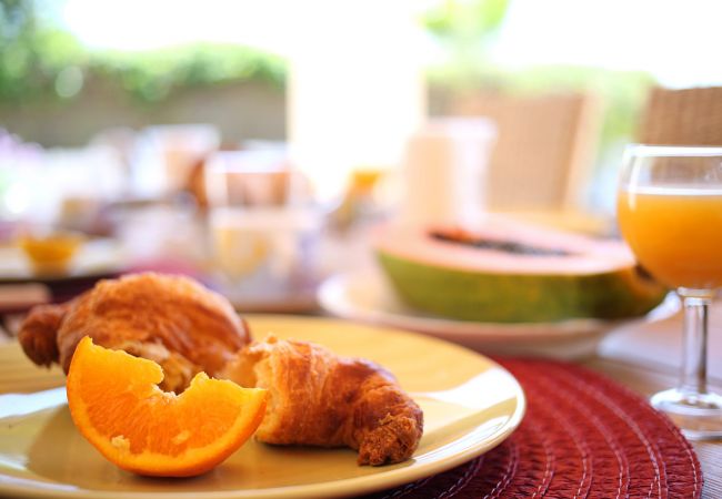 Villa in Pollensa - Villa Alba Villa in Pollensa - Villa Alba