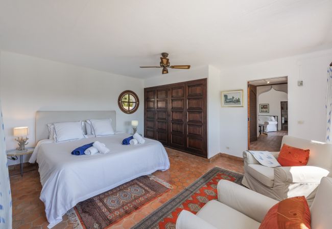 Villa in Pollensa - Napolitano Villa in Pollensa - Napolitano