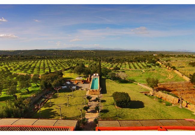 Villa in Manacor - Son Cifre Villa in Manacor - Son Cifre