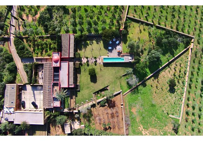 Villa in Manacor - Son Cifre Villa in Manacor - Son Cifre