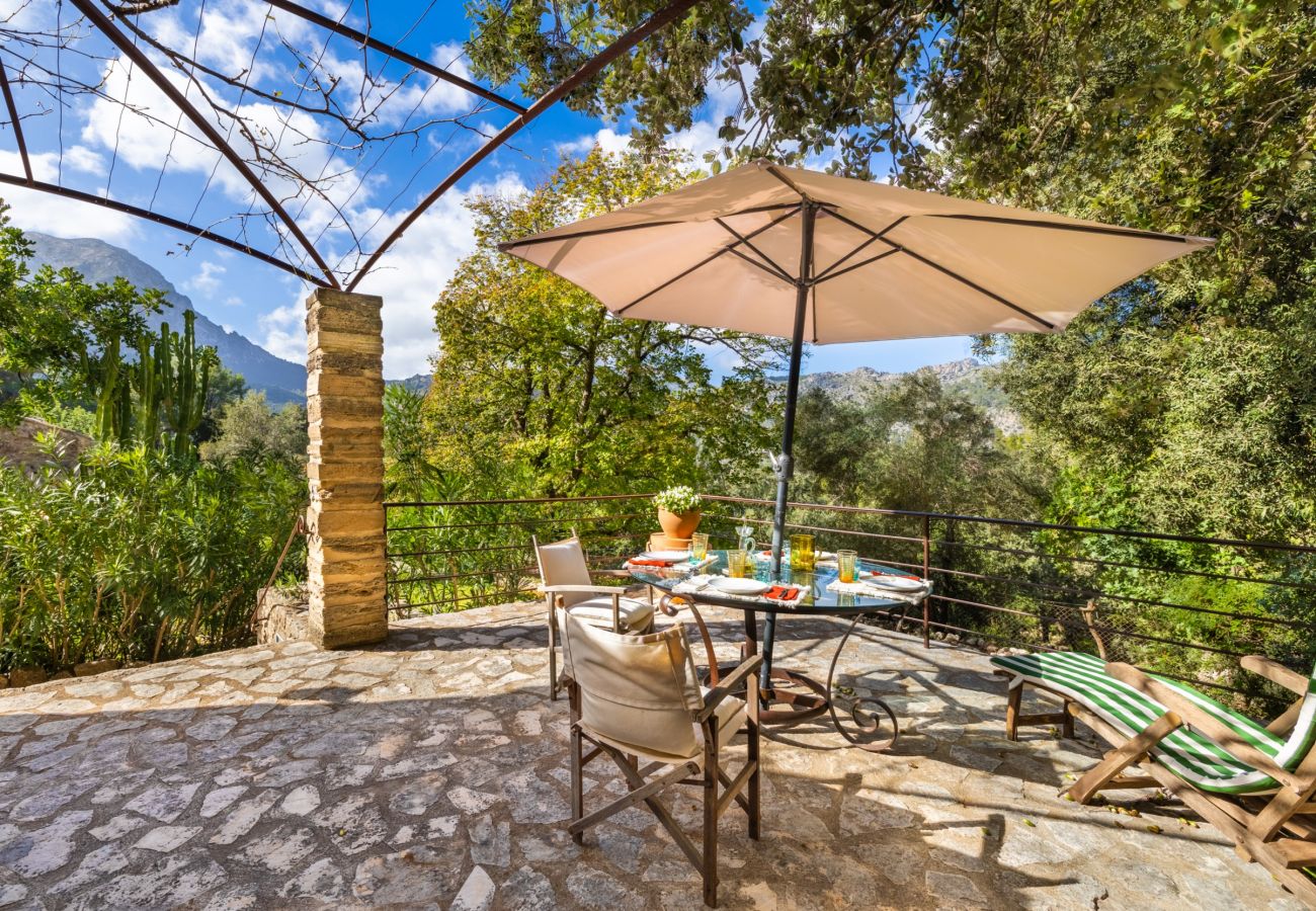 Villa in Pollensa - Can Picassa Tafona