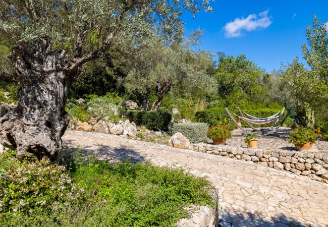 Villa in Pollensa - Can Melsion Villa in Pollensa - Can Melsion