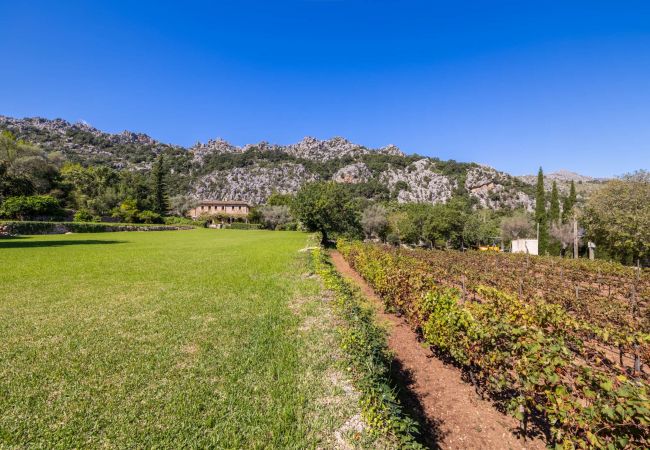 Villa in Pollensa - Can Melsion Villa in Pollensa - Can Melsion