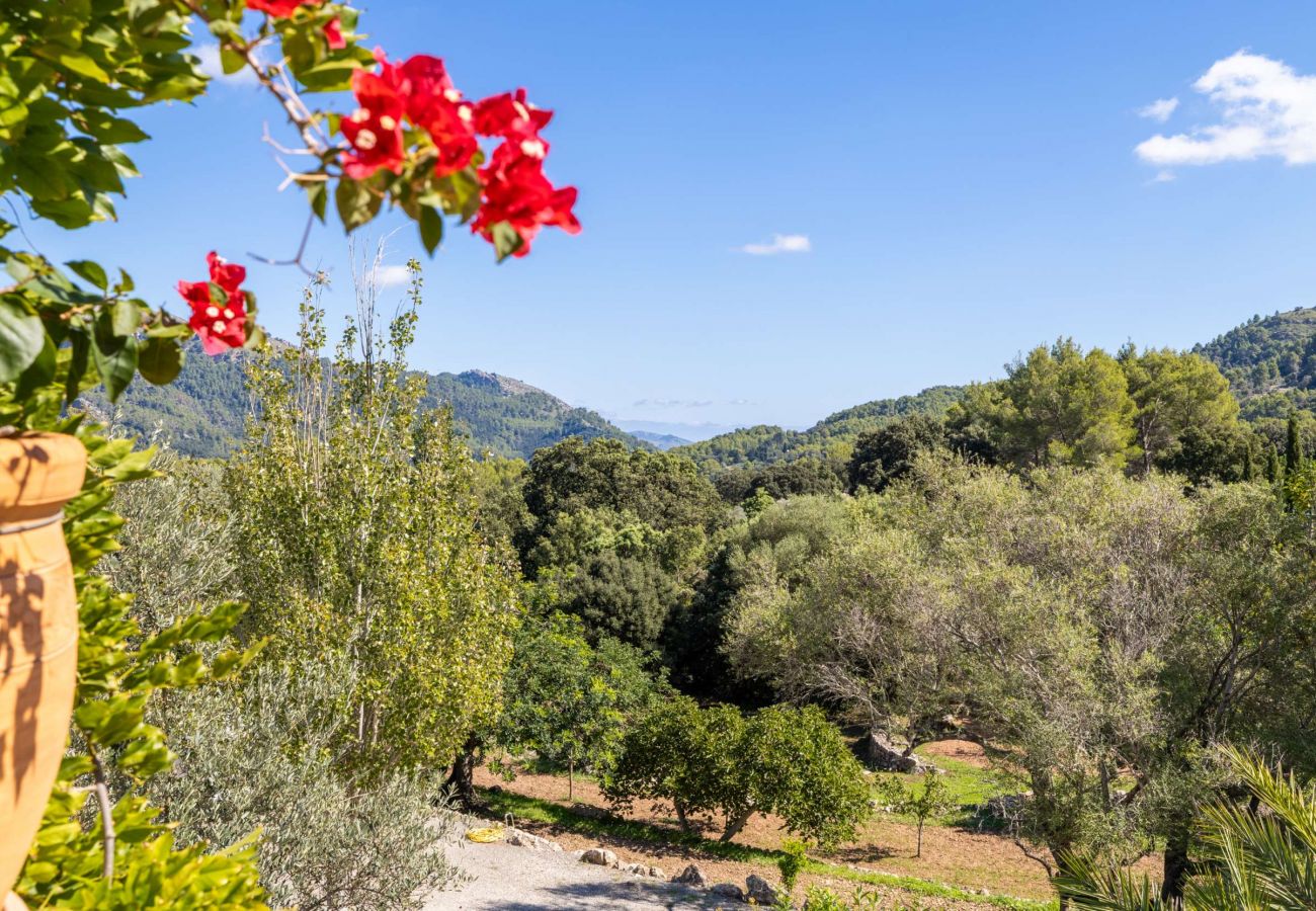 Villa in Pollensa - Can Melsion