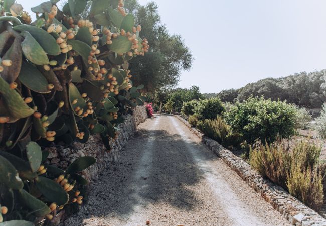 Villa in Llubi - La Finca de Llubi Villa in Llubi - La Finca de Llubi