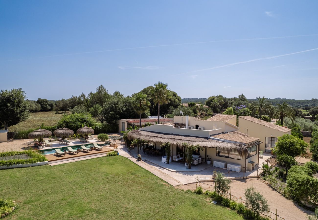 Villa in Llubi - La Finca de Llubi