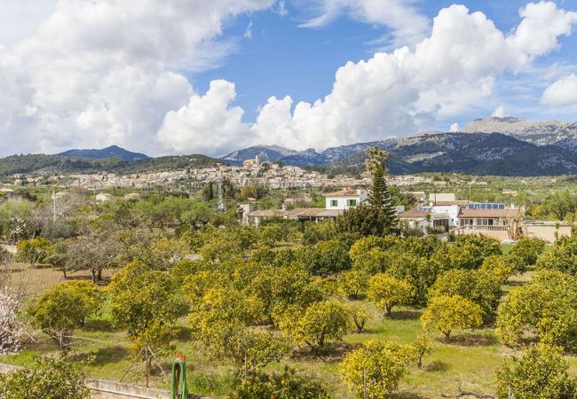 Villa in Selva - Villa Miravall Selva Villa in Selva - Villa Miravall Selva