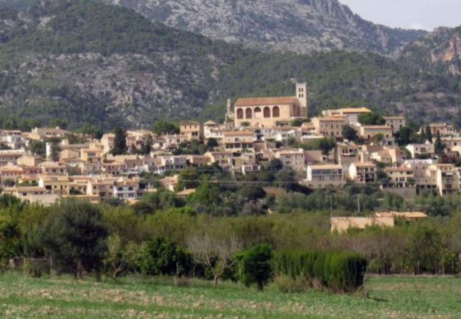 Villa in Selva - Villa Miravall Selva Villa in Selva - Villa Miravall Selva