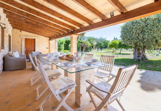 Villa in Pollensa - Can Bandera Villa in Pollensa - Can Bandera