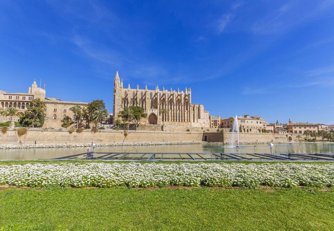 Doppelhaushälfte in Palma  - Miquel Santandreu Palma Doppelhaushälfte in Palma  - Miquel Santandreu Palma