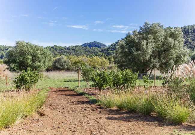 Villa in Pollensa - Can Pau Villa in Pollensa - Can Pau