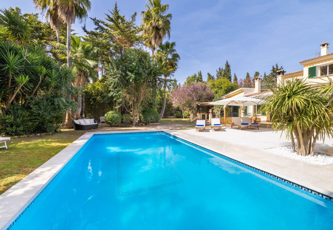 Villa in Santa Maria del Cami - Finca Santa Maria Near Palma