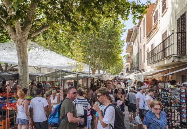 Doppelhaushälfte in Consell - Can Muntanya 18 Doppelhaushälfte in Consell - Can Muntanya 18