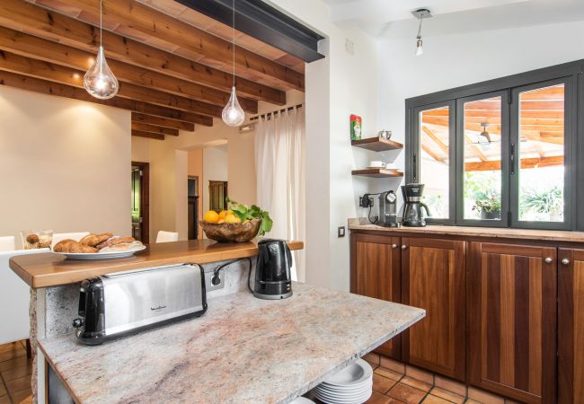 Villa in Pollensa - Finca Cal Llenyater Villa in Pollensa - Finca Cal Llenyater