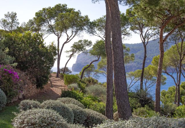 Villa in Andratx - Oasis del Mar Villa in Andratx - Oasis del Mar