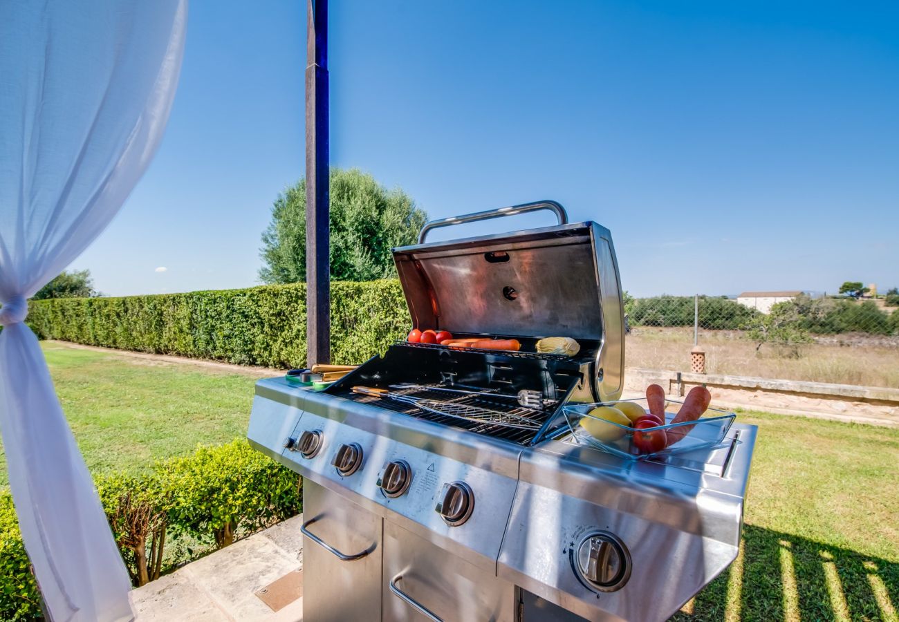 Villa in Santa Margarida - Villa Margarita