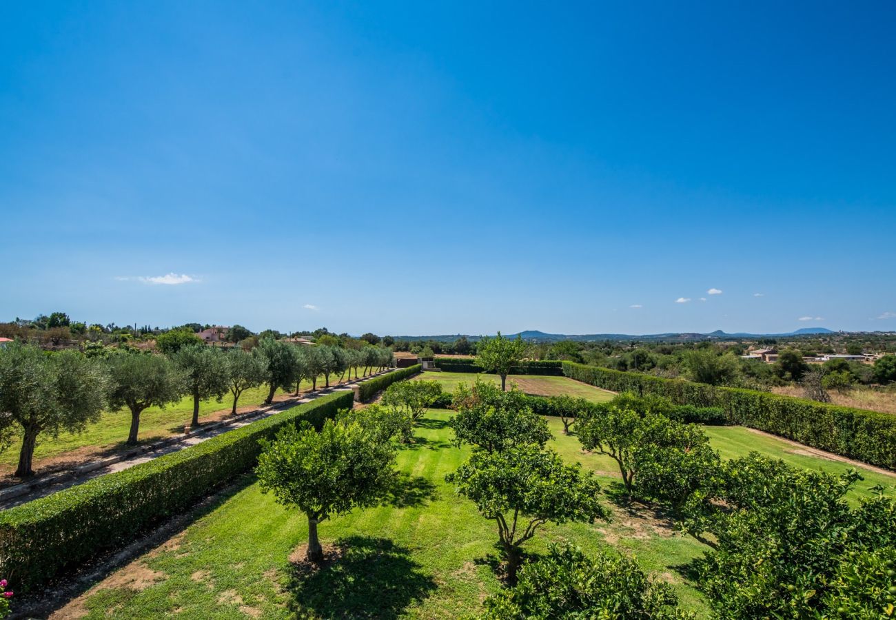 Villa in Santa Margarida - Villa Margarita