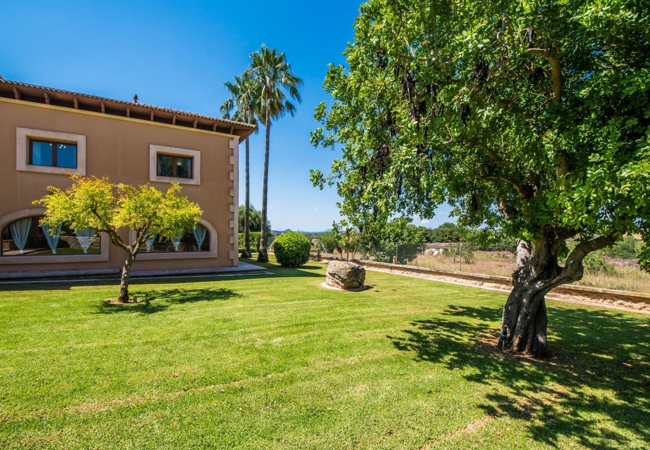 Villa in Santa Margarida - Villa Margarita