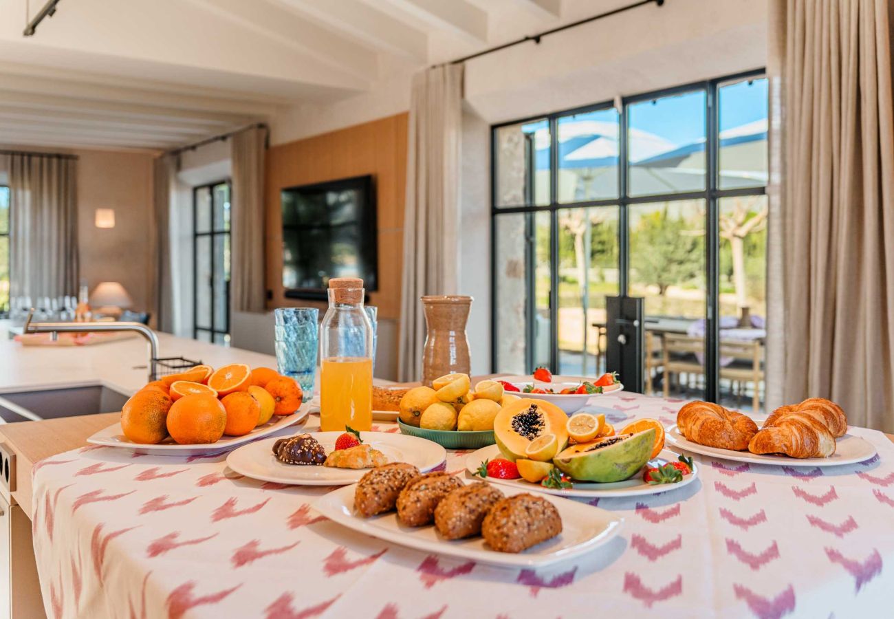 Villa in Pollensa - Finca Coral