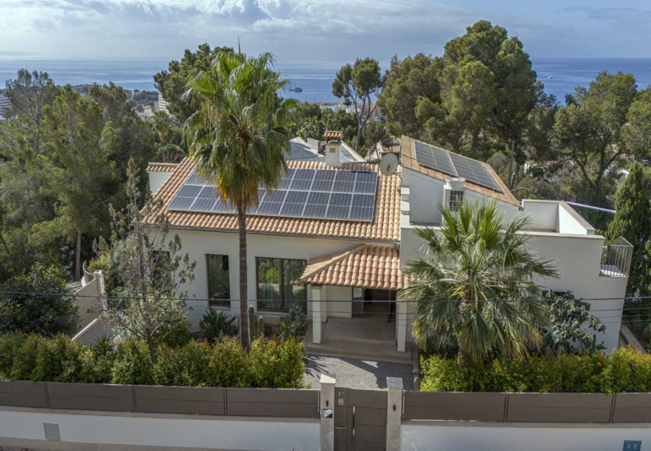 Villa in Portals Nous - Villa Riviera