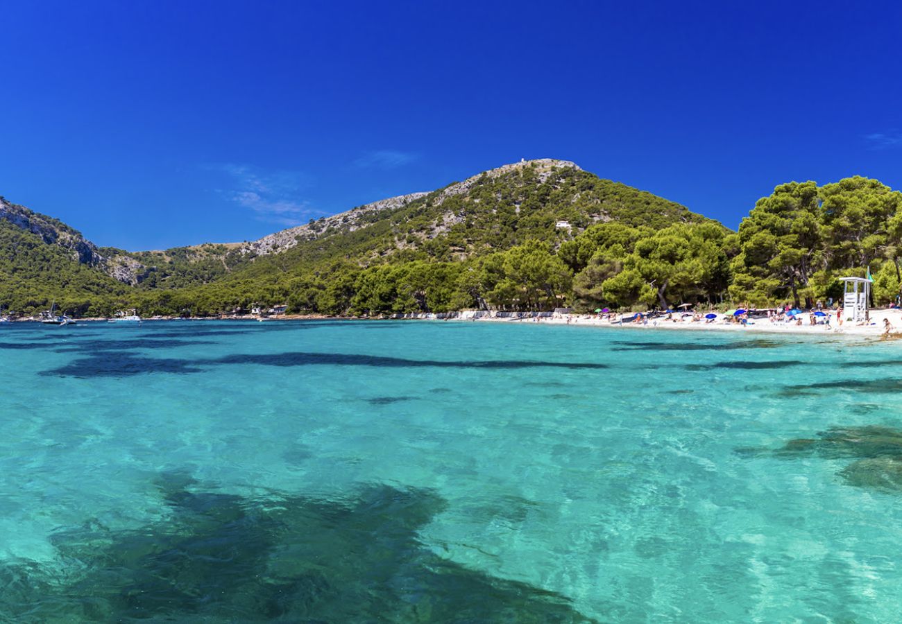 Villa in Pollensa - Singala Breeze