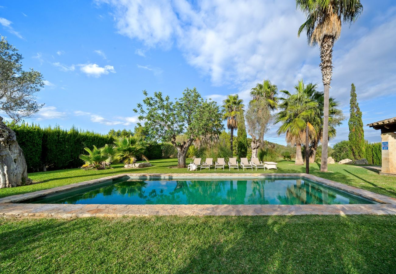 Villa in Alcudia - Can Segue