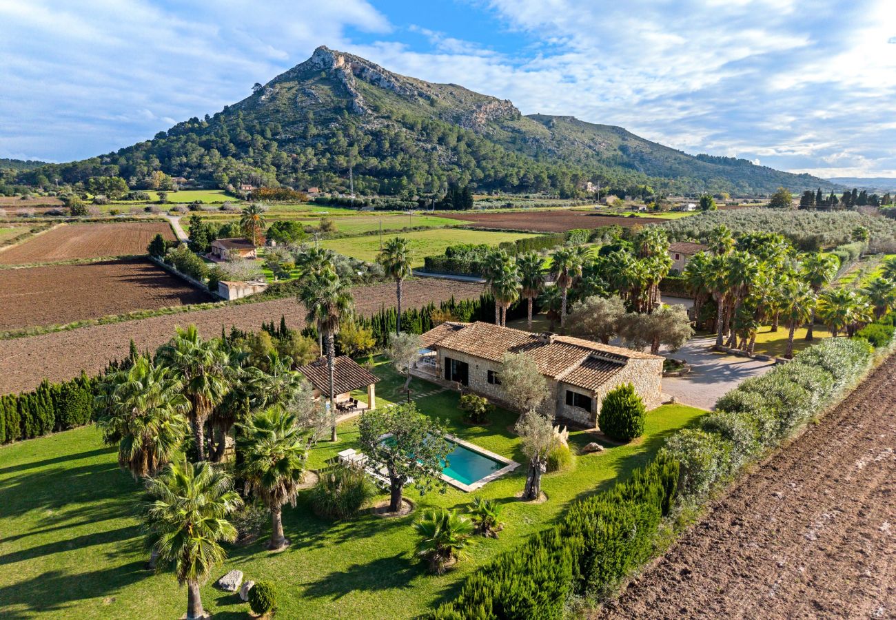 Villa in Alcudia - Can Segue