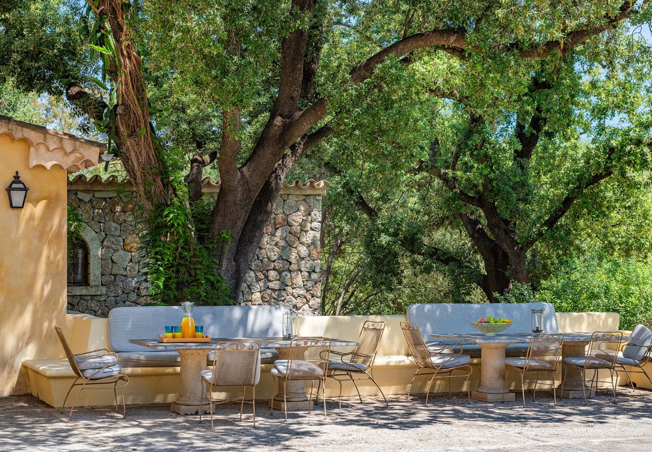 Villa in Pollensa - Finca Caro