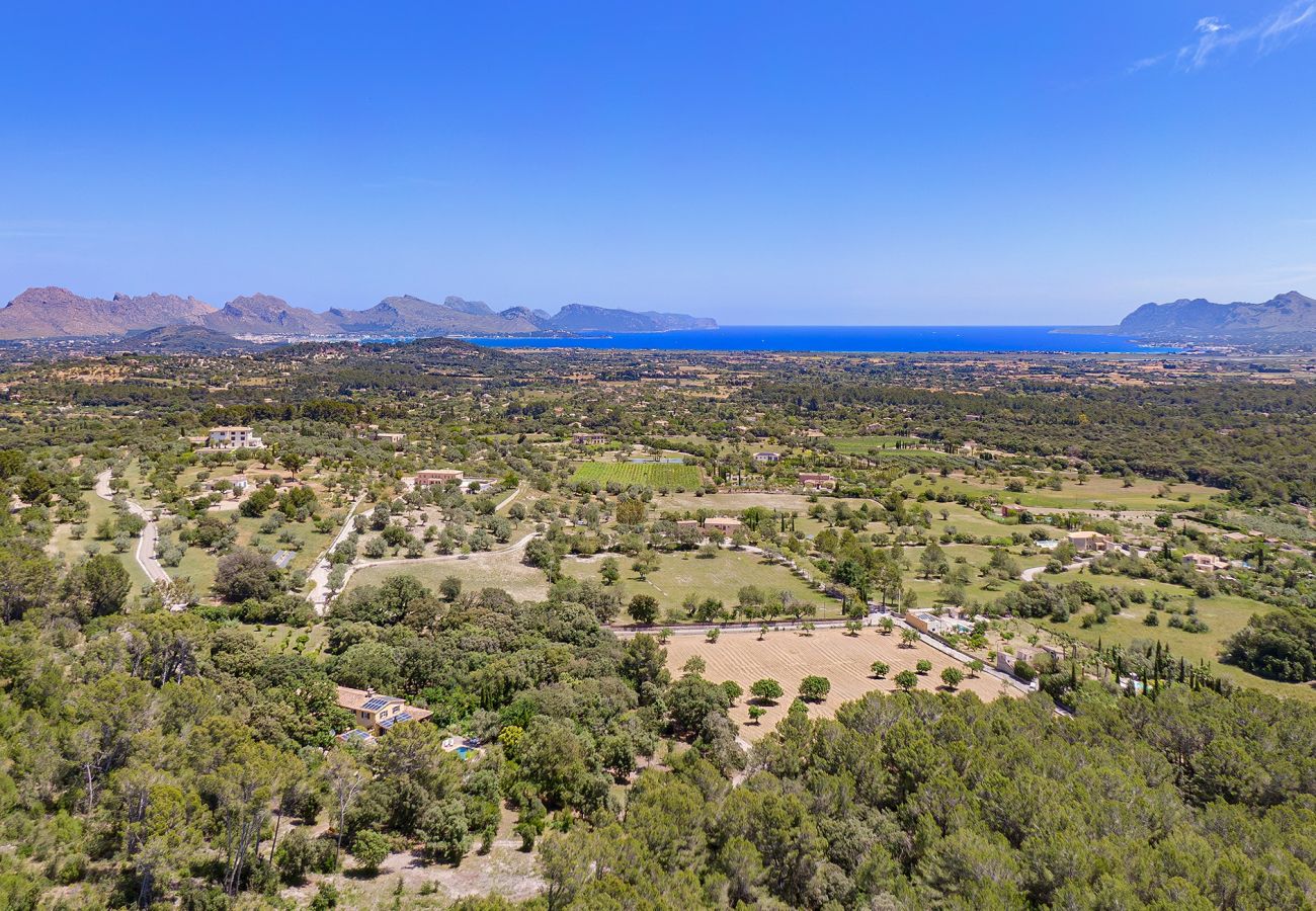 Villa in Pollensa - Finca Caro