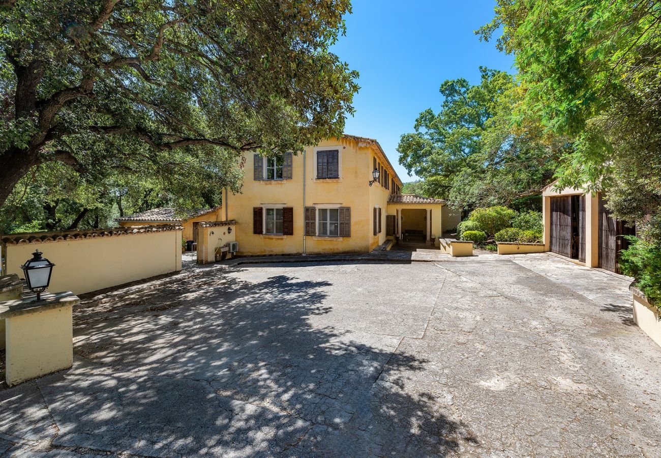 Villa in Pollensa - Finca Caro