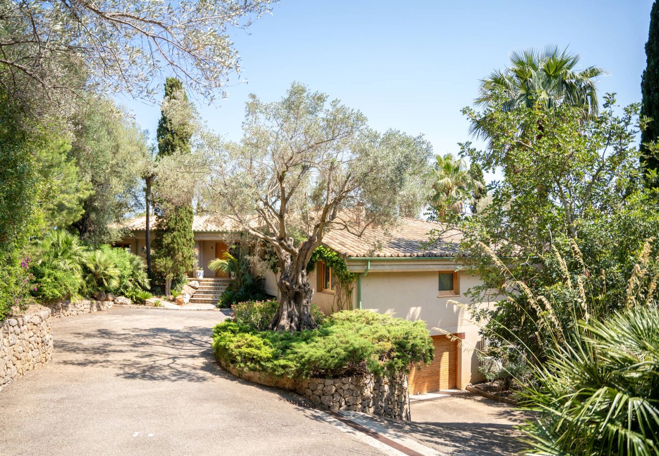 Villa in Pollensa - Casa El Vila 60