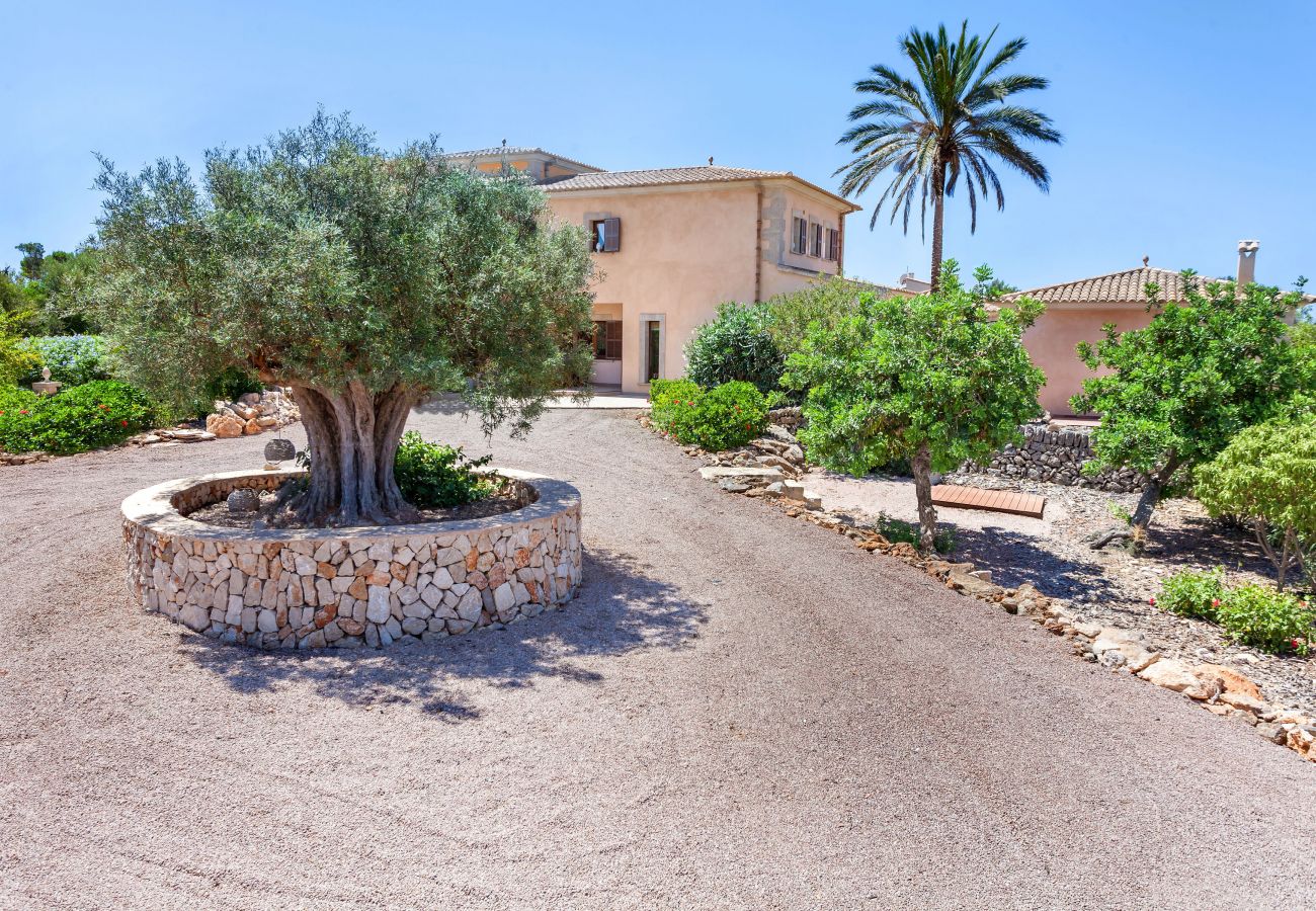 Country house in Cala Figuera - Can Molino