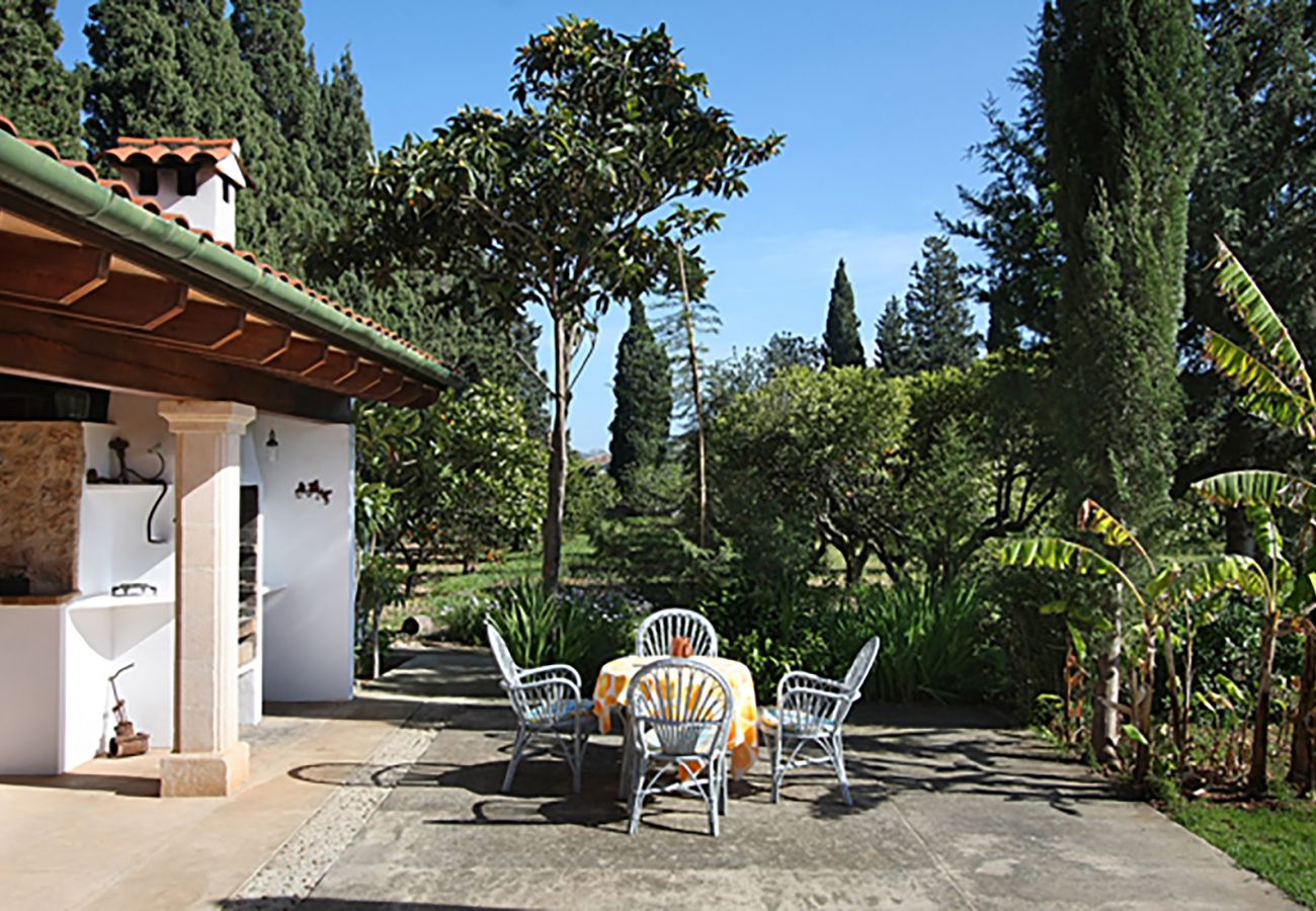 Villa in Pollensa - HORT 3 CAMES