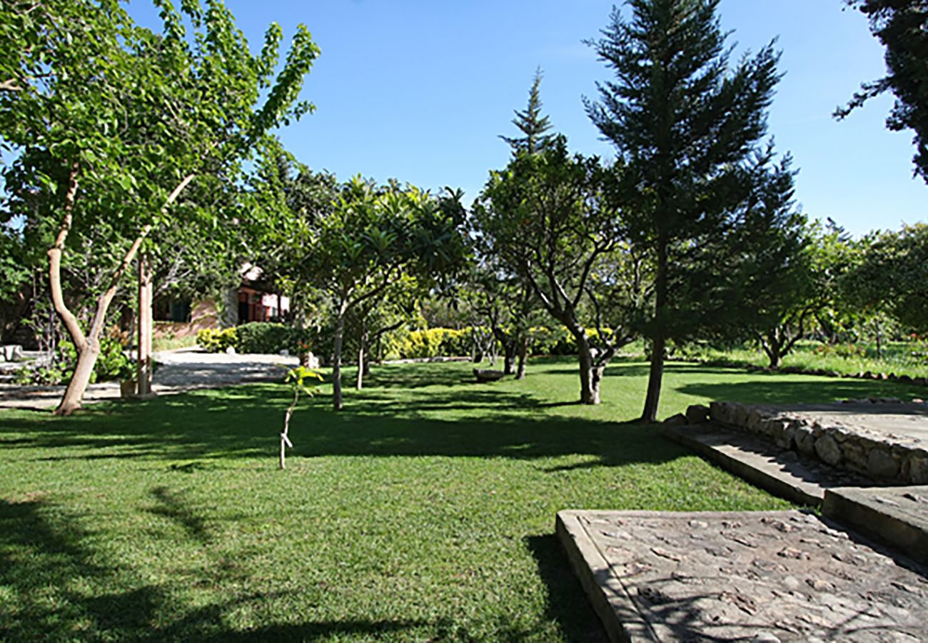 Villa in Pollensa - HORT 3 CAMES