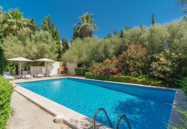 Villa in Pollensa - Ion Villa in Pollensa - Ion