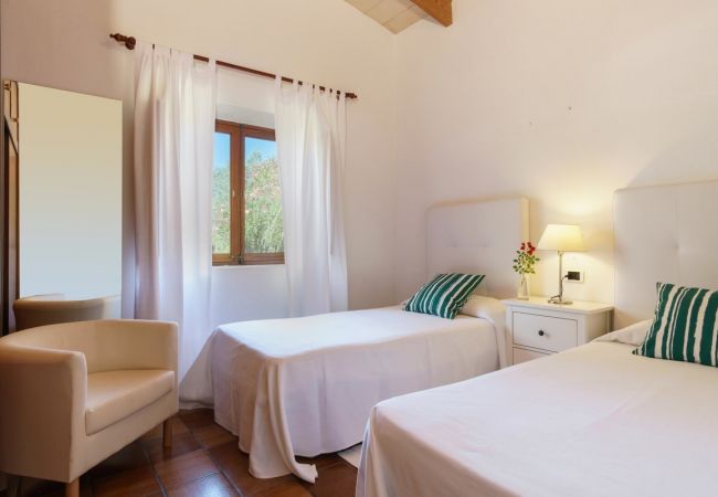 Villa in Pollensa - Ion Villa in Pollensa - Ion