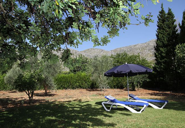 Villa in Pollensa - Ion Villa in Pollensa - Ion